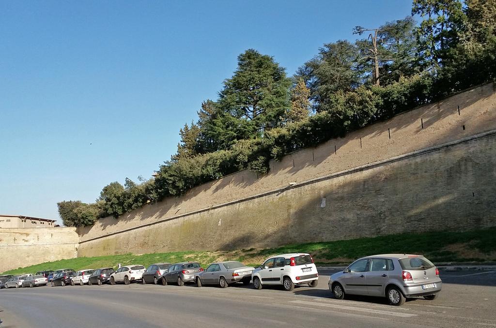 Fiori Al Vaticano68 Appartamento Roma